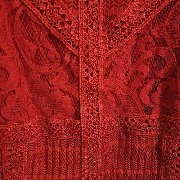 Lacey Red Sheath Dress - Picture 2 of 4